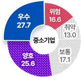 중소기업 : 우수 27.7%, 양호 25.6%, 보통 17.1%, 취약 13.0%, 위험 16.6%