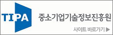 중소기업기술정보진흥원